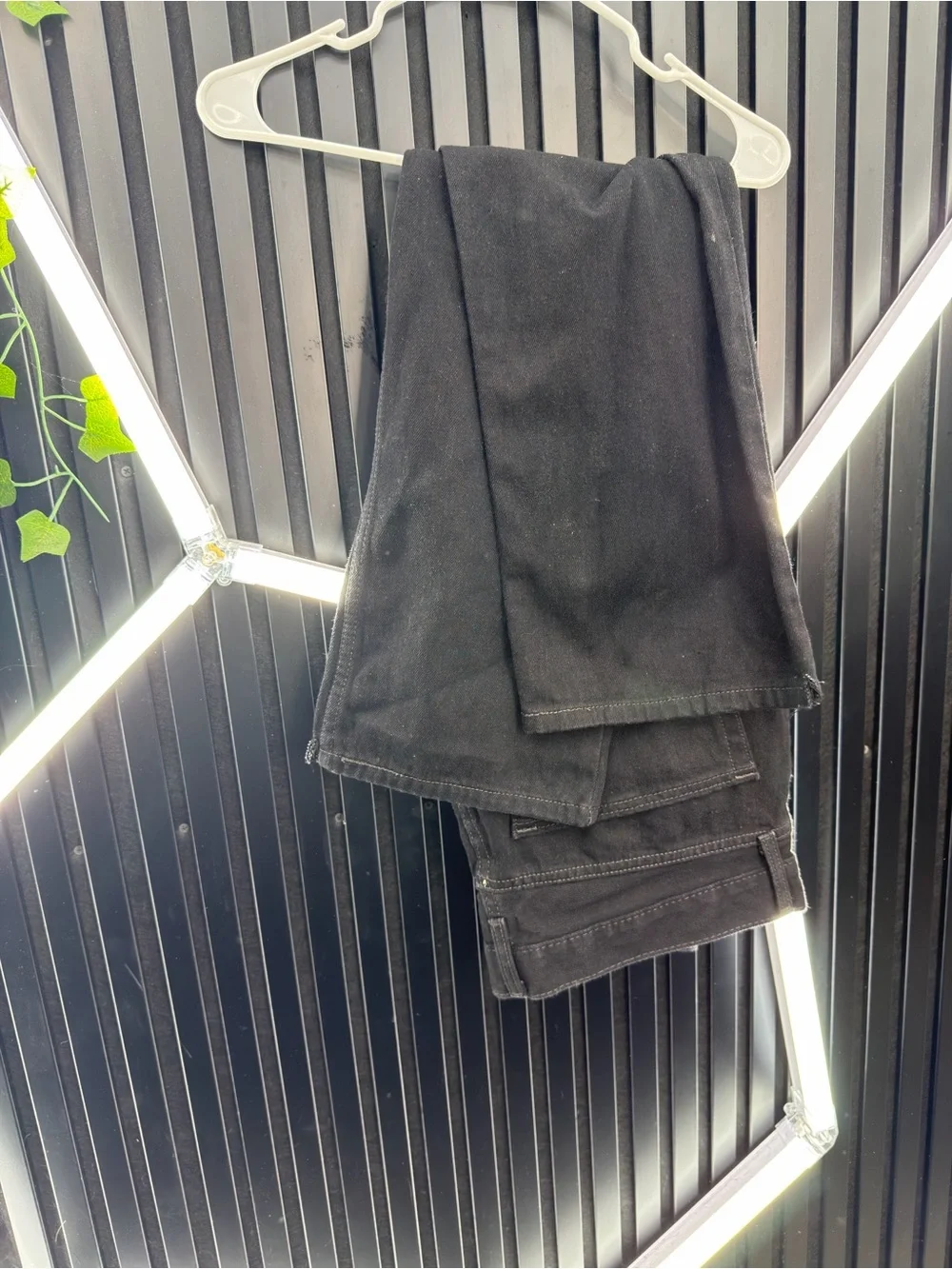 Levis levi cargo